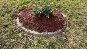 Fall Clean Up for Kramer & Son’s Property Maintenance in Hudson, FL