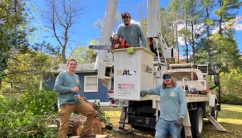 Tree Removal for Gray’s Tree Service in Maurertown, VA