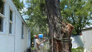 Tree Removal for Highborn Tree Service in Wheatfield, IN