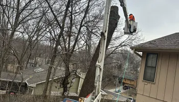 Tree Removal for Cross Family Tree Service in Kearney, MO
