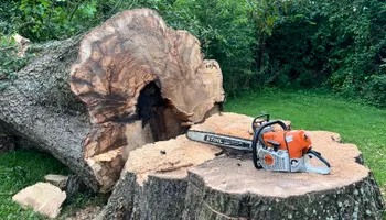 Tree Removal for Kadin’s Tree Service in North Vernon, IN