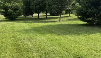 Tree Trimming for Wright Lawn Services in Ozark, MO