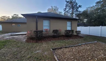 Tree Trimming for Highlife Tree Care And Landscaping in Altamonte Springs, FL