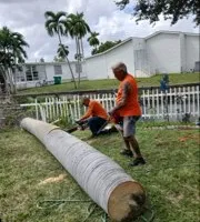 Tree Removal for ASAP Tree Service in Sebastian, FL