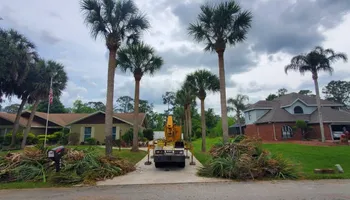 Tree Removal for Regal Tree Service and Stump Grinding in Wauchula, FL