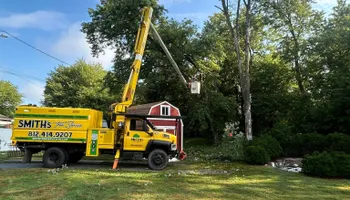 Tree Removal for SMITHs Tree Service in Columbus, IN