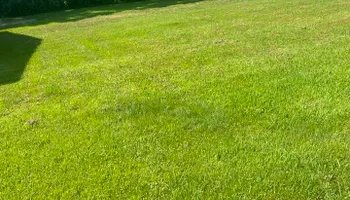 Lawn Maintenance for Apex Lawn & Landscaping INC in Dyersburg, TN