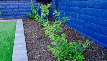 Landscape Installation And Design for Citiscapes, LLC in Phoenix, AZ
