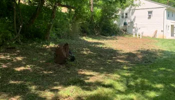 Tree Removal for VA Landgrowth LLC in Lexington, VA