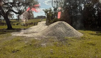 Tree Removal for CFS Services in Fort Meade, FL