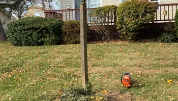Tree Removal for Gray’s Tree Service in Maurertown, VA