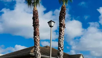 Tree Removal for Johnnys Pro Cutters in Corpus Christi, TX