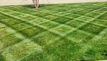 Mowing for Mow and Go in Syracuse, NY