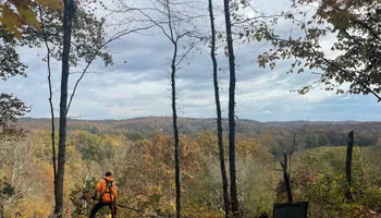 Tree Removal for Ross Family Tree Service LLC  in Hohenwald, TN