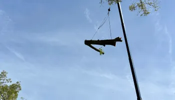 Tree Trimming for DIAZ TREE in Stafford, VA
