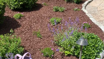 Lawn Clean Up for Healthy Roots Landscaping in Apex, NC