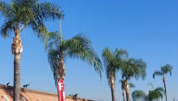 Property Maintenance for Best Lawncare in Colton, CA