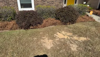 Painting and Drywall for Camalett Services in Perry, GA