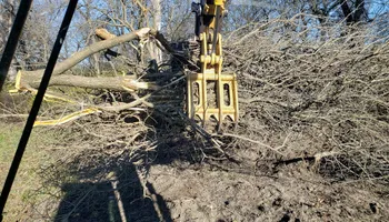 Land Clearing & Demolition for BDS Trucking & Excavating in Litchfield, IL