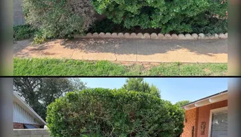 Tree Removal for Compas Cleanup in McCamey, TX