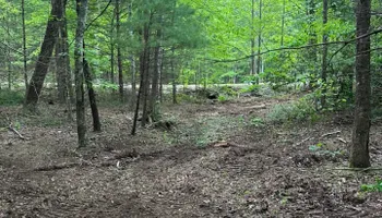 Land Clearing for Miller Farms Hay & Land Management in Knoxville, TN