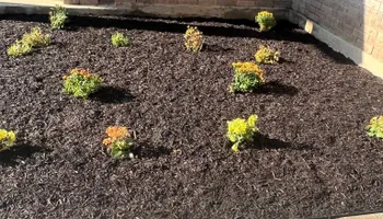 Bathroom Renovation for Prosper Renovations in Kyle, TX