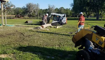 Tree Removal for Daniel Hickey’s Tree Service in DeLand, FL