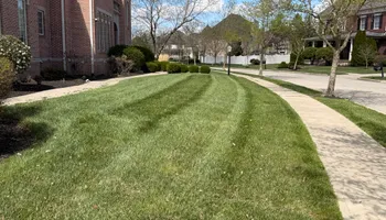 Lawn Care and Maintenance for Sneed & Co LLC in Kokomo, IN