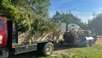 Tree Removal for Thompson Tree Climbers, LLC in Lexington, SC