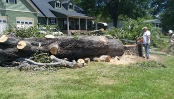 Land Clearing & Demolition for D&S Tree and Demolition Services in Laurens, SC