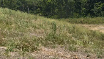 Mowing for Trust Lawn and Landscape  in Pacific, MO
