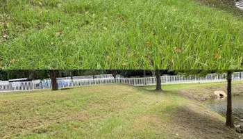 Landscape Maintenance & Mowing Services for Kings Legacy Services in Gainesville ,  FL