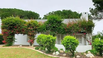 Mowing for Greener Horizons Landscape Management in Port St. Lucie, FL