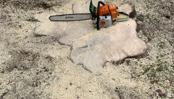 Tree Removal for VA Landgrowth LLC in Lexington, VA