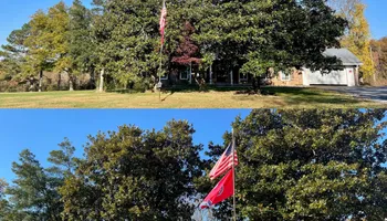 Tree Removal for Ross Family Tree Service LLC  in Hohenwald, TN