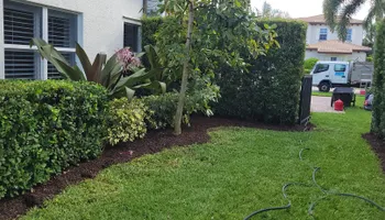 Tree Trimming & Removal for L & J Palm Tree & Lawn Care Services in Jupiter, FL