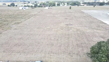 Tree Removal for CFS Services in Fort Meade, FL