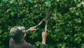 Retaining Wall Construction for Nice Image Landscaping Inc. in Fresno, CA