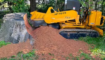 Stump Removal for J&K Stump Grinding in Detroit, MI
