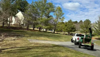 Tree Removal for Silver City Tree Service in Taunton, MA