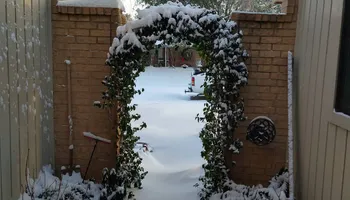 Lawn Maintenance for Green City Landscape and Lawn Care LLC in Mesquite, TX