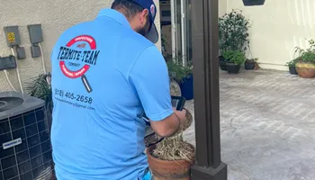 Termite Inspections for Termite Team Company in Los Angeles, CA