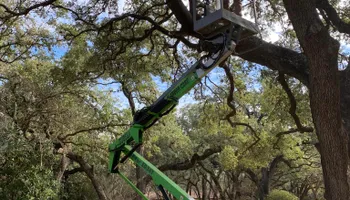 Tree Pruning for Braun Tree Service  in Floresville, Texas