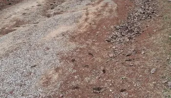 Site Preparation for Willetts Excavation & Septic in McMinnville, TN