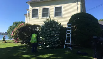 Tree Removal for Green In Green Out Tree Services in Westbrook, ME