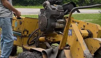 Tree Removal for J&Q Tree Service in Paradise, MI