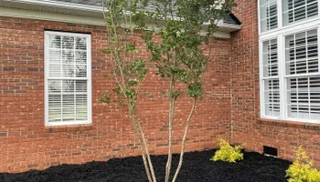 Lawn Maintenance for Palmetto State Landscaping in Gaffney, SC