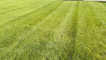 Lawn Care and Maintenance for Sneed & Co LLC in Kokomo, IN