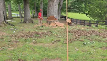 Tree Removal for Smith Tree Experts in Palmyra, VA