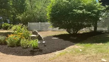 Tree Work for Baboosic Tree & Landscape in Merrimack, NH